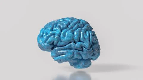 Glossy Blue Human Brain Model 3d render.. Stock Illustration