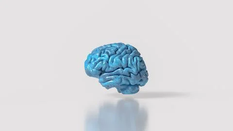 Glossy Blue Human Brain Model 3d render.. Stock Illustration