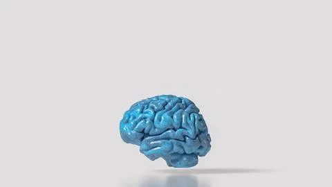 Glossy Blue Human Brain Model 3d render.. Stock Illustration