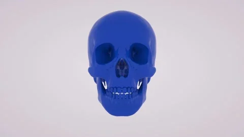 Glossy Blue Skull Vidéo 135914052