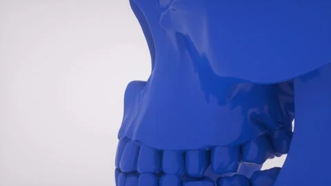 Glossy Blue Skull 库存影片 135914057