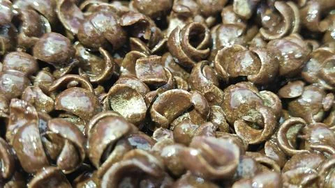 Glossy Brown Curled Shells Macro Texture Stock Photos