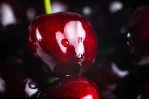 Glossy cherry with water drops on a dark background. Stock Photos