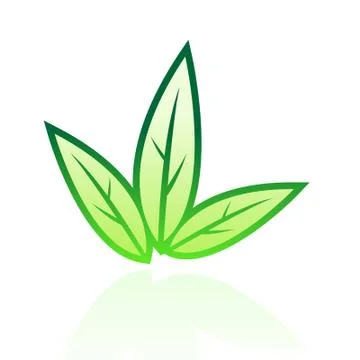 Glossy leaf 6 Stock Illustration