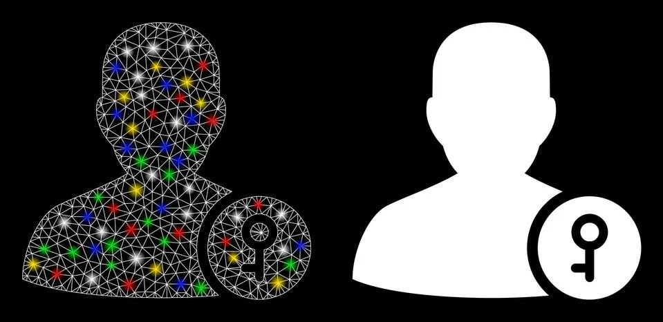 Glossy Mesh Network User Key Icon with Light Spots Stock-Illustration