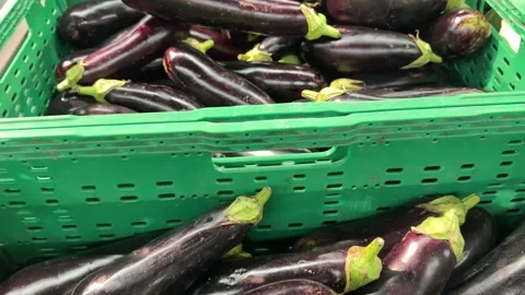 Glossy Purple Eggplants in Green Plastic Crates Stock Footage 345931996
