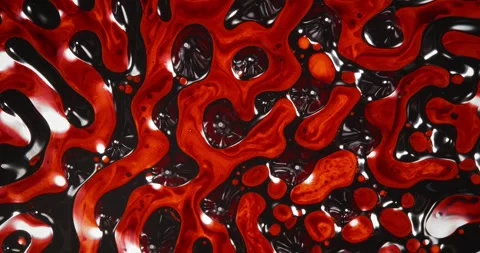 Glossy Red and Black Liquid Mesh Forms Cellular Pattern With Depth and Video stock 306935559