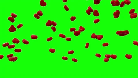 Glossy red hearts falling animation loop on green screen Stock Footage 314206009