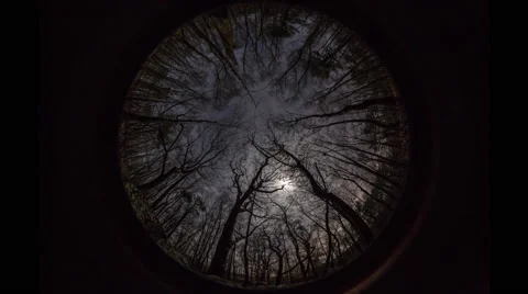 Gloucester: Moonrise through Trees with Clouds, Ultra Wide, VR, IR, Oculus Stock Footage 68726344
