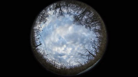 Gloucester: Sky with Trees and Clouds during Day, Ultra Wide Stock Footage 68728874