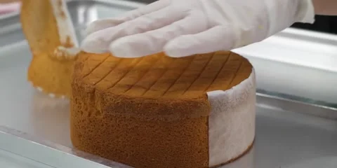 Gloved Baker Peeling Parchment Paper off Freshly Baked Sponge Cake Stock Footage 343588395