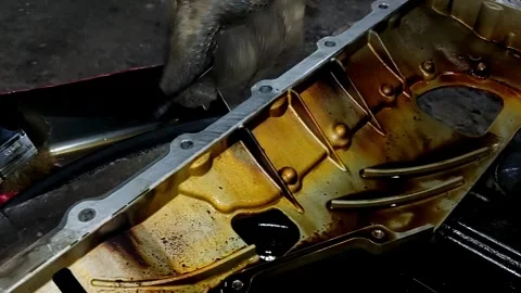 A gloved hand applies grey silicone sealant to the edge of a clean metal car Stock Footage 336559563