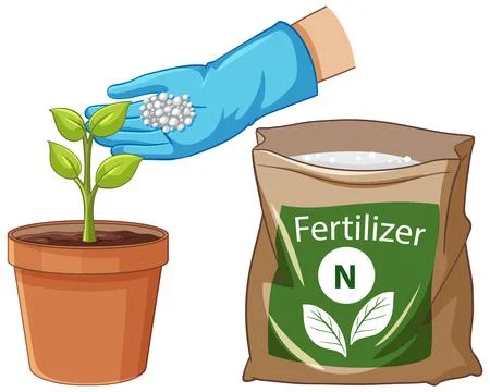Gloved Hand Applying Nitrogen Fertilizer Pellets to a Potted Green Plant Illustrazione stock