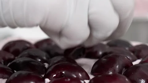 Gloved Hand Arranging Fresh Dark Cherries on a Cream Dessert Topping Stock-Footage 343021292