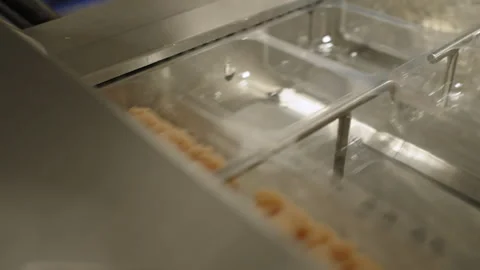 Gloved Hand Arranging Raw Minced Chicken in Clear Plastic Compartments Stock Footage 339007809