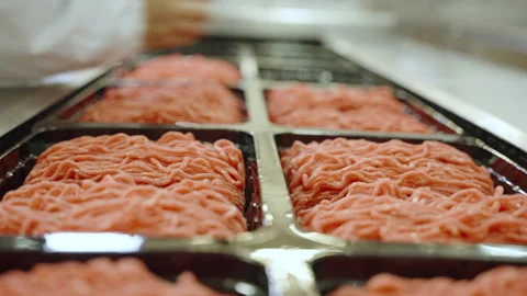 Gloved Hand Checking Raw Mince Packs on Factory Conveyor Stock Footage 341710453