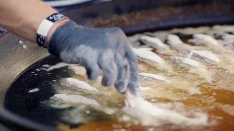 Gloved hand of a chef placing fish into hot oil Stock Footage 115733069