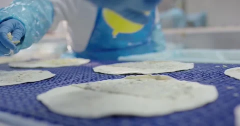 Gloved hand fills flatbread with sauce from bottle, Food Factory Stock-Footage 340033774