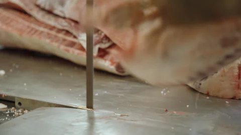 Gloved Hand Guiding Carcass Across Meat Bandsaw Table Stock Footage 340295428