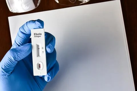 Gloved hand holding a negative Ebola antigen rapid test kit cassette Stock Photos