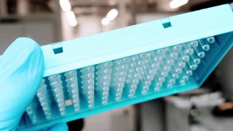 Gloved hand holds a blue multi-well sample plate. Clinical and scientific Stock-Footage 278359317
