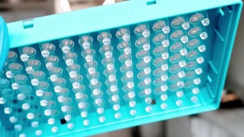 Gloved hand holds a blue multi-well sample plate. Clinical and scientific Stock Footage 279851851