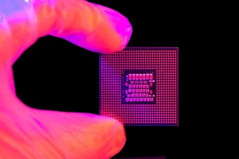 A gloved hand holds a computer processor. Accessories for the motherboard. PC 库存照片