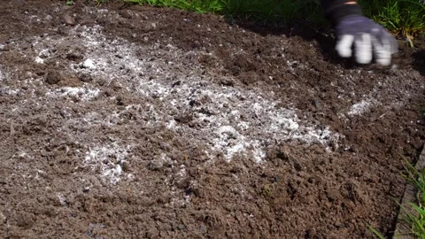 A gloved hand mixes earth with dolomite flour, close-up Stock Footage 247074331