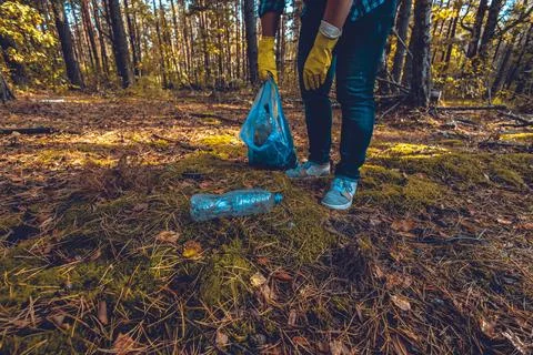 A gloved hand picks up a plastic bottle from the ground and places it in a trash Stock Photos
