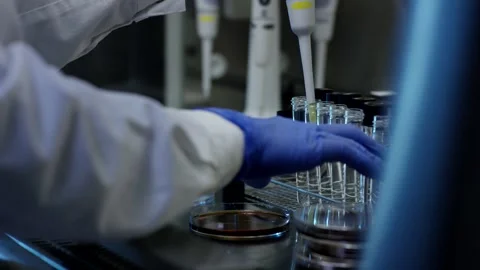 Gloved Hand Pipetting Liquid Into Glass Tubes, Sterile Laboratory, Macro Shot Video stock 341330282