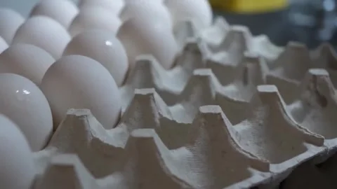 Gloved Hand Placing a Fresh Egg into a Carton Stock-Footage 347688696