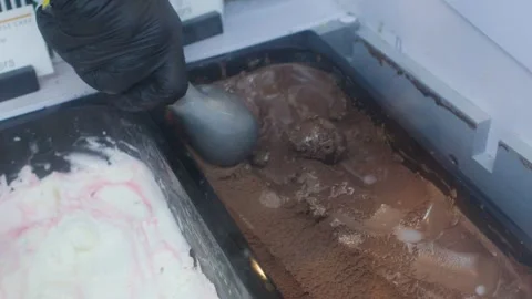 Gloved Hand Scooping Chocolate Ice Cream from a Commercial Freezer Stock Footage 335620534