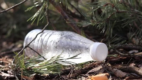 A gloved hand takes out a plastic bottle from the branches on the ground Stock Footage 170830729