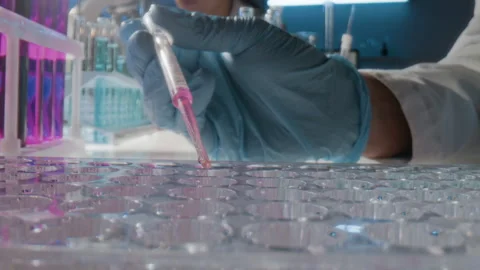 Gloved Hand of Unknown Technologist Dripping Solution into Multi-Well Plate Stockbeeldmateriaal 307936405