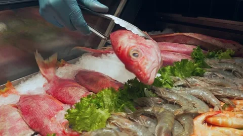 Gloved hand using tongs to pick up red snapper from ice display. Close up Stock Footage 336901027