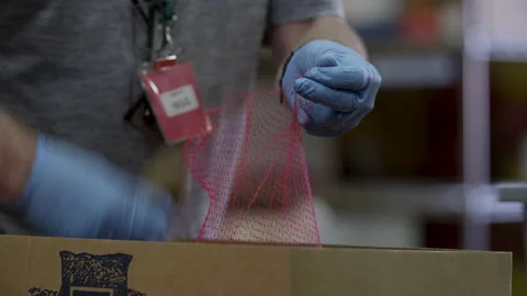 Gloved hands bagging potatoes for a charity food bank during COVID-19 pandemic Video stock 130992358