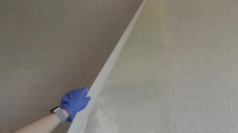 Gloved hands of a female constructor perfectly peeling wallpaper Stock Footage 338003282