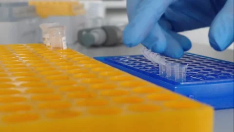 Gloved hands handling microtubes in a laboratory setting for scientific research Stock Footage 301399165