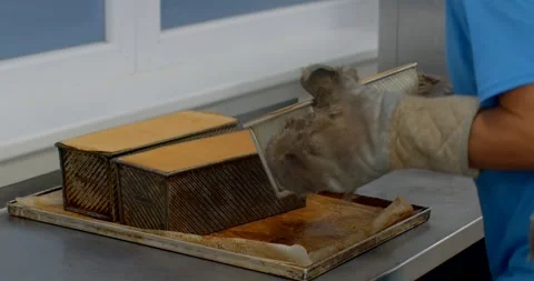 Gloved hands handling rectangular loaf pans on stainless countertop in bakery Stock Footage 344597194
