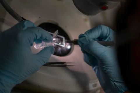 Gloved hands handling research sample Stock Photos
