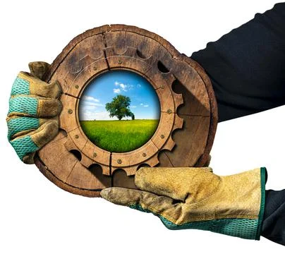 Gloved Hands Holding a Section of Tree Trunk with Wooden Cogwheel Stock Photos
