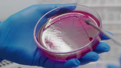 Gloved hands move a needle across a flat glass container. The medic places the Stock Footage 136023551