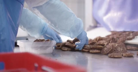 Gloved hands pack fried patties into plastic trays, Food Factory Stock Footage 340044731