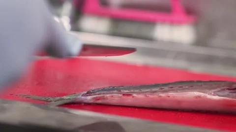 Gloved Hands Performing Microsurgery Training on Synthetic Vascular Graft in Lab Stock Footage 333500021