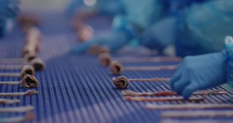 Gloved hands place bacon slices on a blue conveyor belt, Meat Processing Plant Stock Footage 340007118