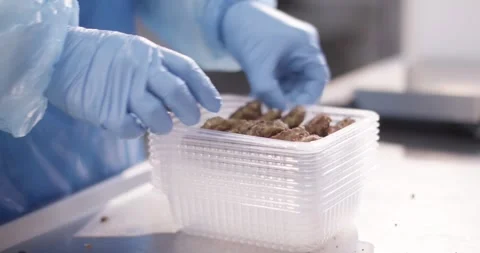 Gloved hands place cooked patties into a clear plastic tray, Food Factory Stock Footage 340044885