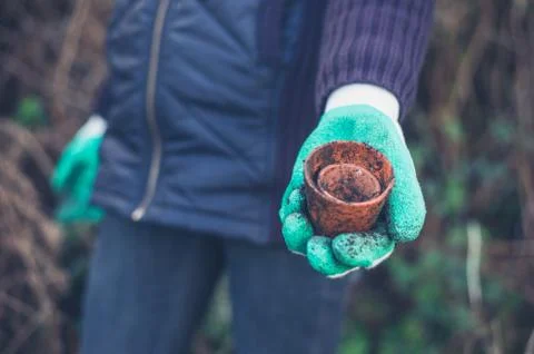 Gloved hands with pot plant Stock Photos