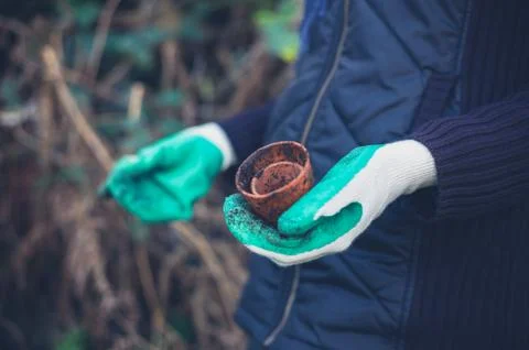 Gloved hands with pot plant Stock-Fotos