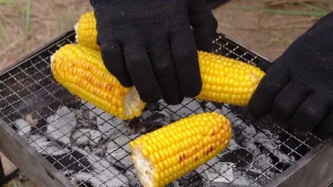 Gloved hands put a cob of corn on a barbeque grate. Stock Footage 161650193