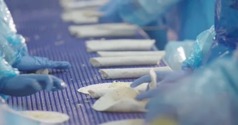 Gloved hands roll filled wraps on a blue conveyor, Food Factory Video stock 340035829